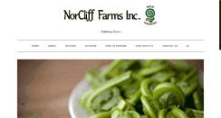 Desktop Screenshot of norcliff.com