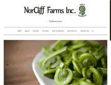 Tablet Screenshot of norcliff.com